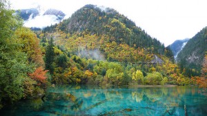 five-flower-lake-Jiuzhaigou